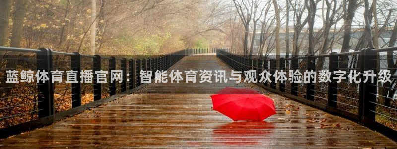 新球体育直播