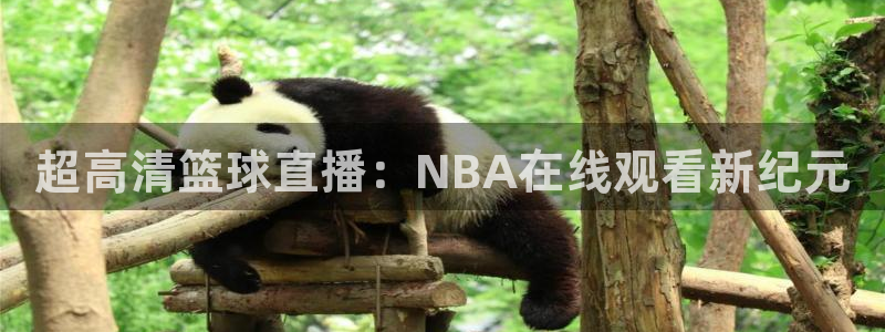 新球体育篮球比分：超高清篮球直播：NBA在线观看新纪元