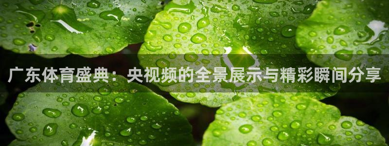 新球体育足球比分：广东体育盛典：央视频的全景展示与精彩瞬间分享