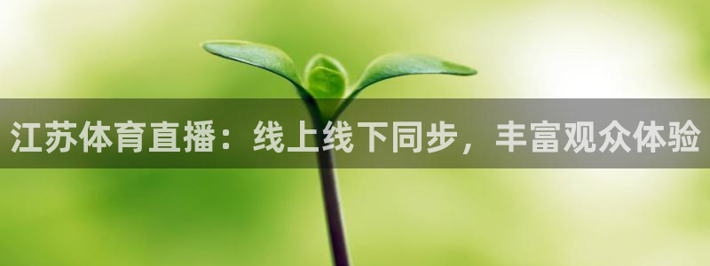 新球体育足球即时比分：江苏体育直播：线上线下同步，丰富观众体验