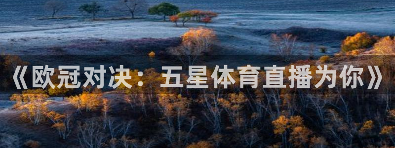 新球体育直播：《欧冠对决：五星体育直播为你》