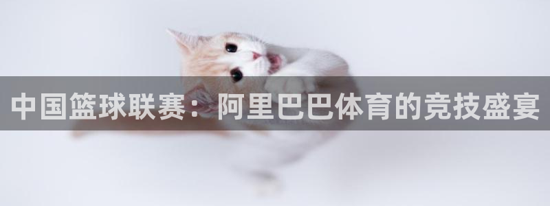 新球体育app：中国篮球联赛：阿里巴巴体育的竞技盛宴