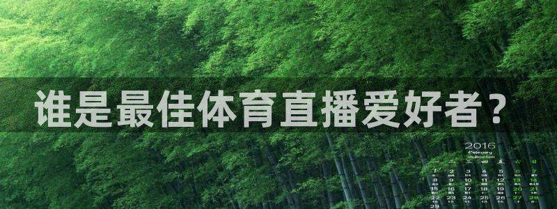 新球体育比分：谁是最佳体育直播爱好者？