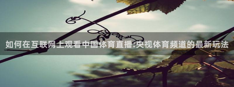 新球体育完整版：如何在互联网上观看中国体育直播:央视体育频道的最新玩法