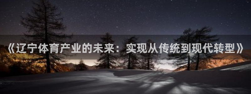 新球赛直播：《辽宁体育产业的未来：实现从传统到现代转型》