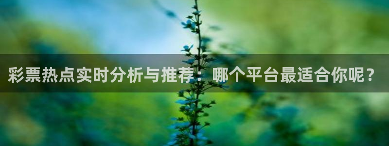 新球体育篮球比分：彩票热点实时分析与推荐：哪个平台最适合你呢？