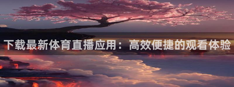 新球网直播：下载最新体育直播应用：高效便捷的观看体验