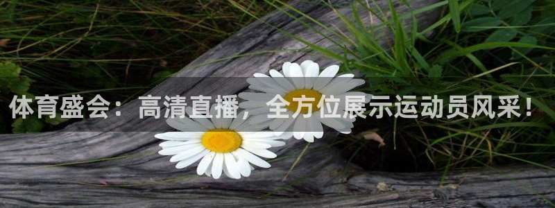 新球体育赛事：体育盛会：高清直播，全方位展示运动员风采！