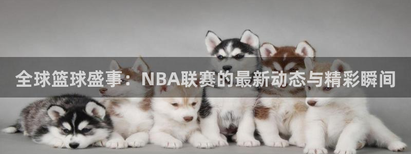 新球直播：全球篮球盛事：NBA联赛的最新动态与精彩瞬间