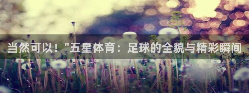 新球体育足球官网：当然可以！\