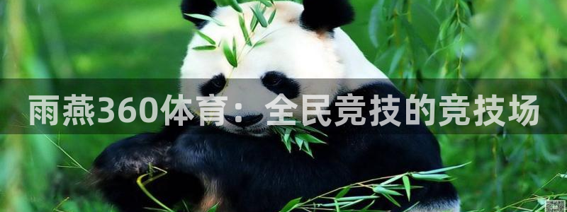 新球：雨燕360体育：全民竞技的竞技场