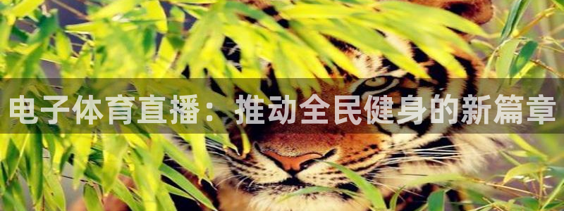新球体育足球官网：电子体育直播：推动全民健身的新篇章