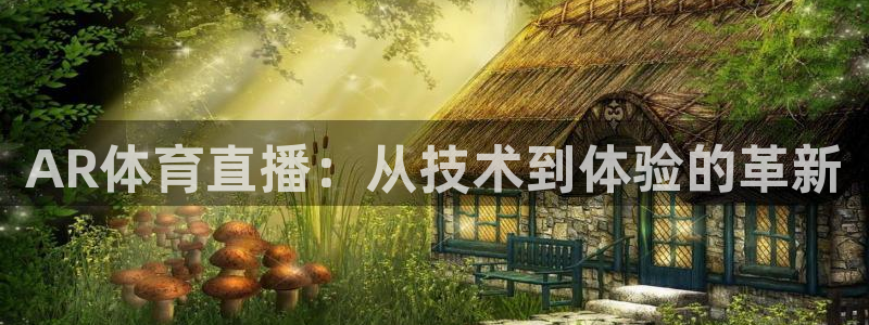 新球足球：AR体育直播：从技术到体验的革新